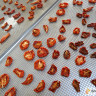 высушенные помидоры в дегидраторе