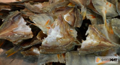 Дегидратор для рыбы и мяса Сушка рыбы до 5% влажности за 21 час без обдува