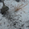 очистка грунта от снега
